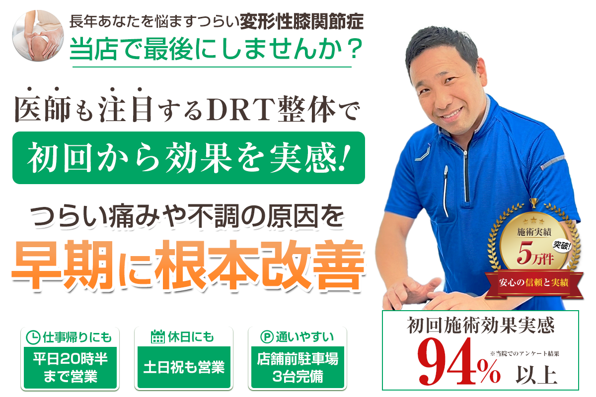 TOP：変形性膝関節症