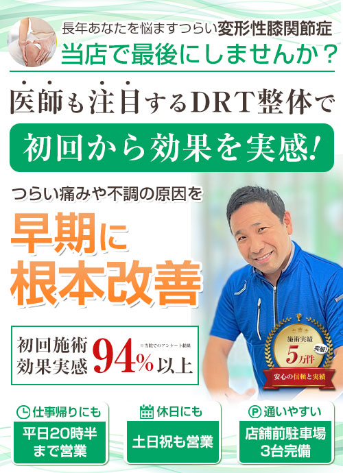 TOP：変形性膝関節症