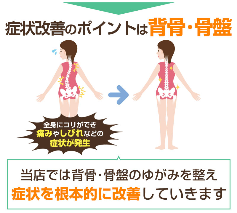 ポイントは背骨・骨盤